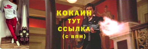 прущая мука Инта