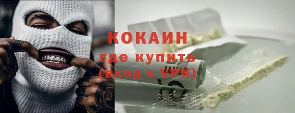ALPHA-PVP Каменка