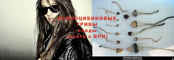 прущая мука Карталы