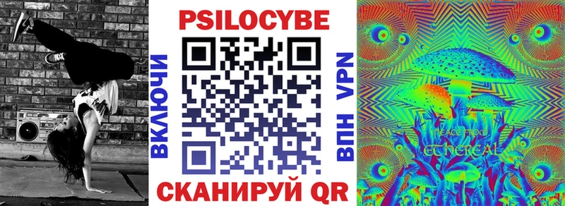 купить  сайты  Кизел  Галлюциногенные грибы Psilocybine cubensis 